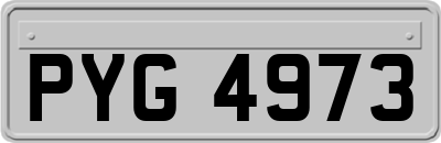 PYG4973