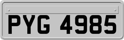 PYG4985