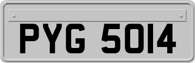 PYG5014