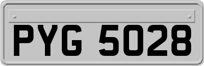 PYG5028