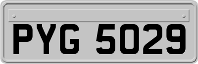 PYG5029