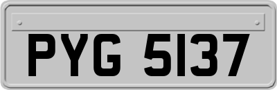 PYG5137