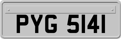 PYG5141