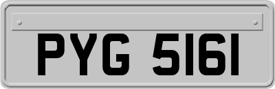 PYG5161