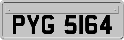 PYG5164