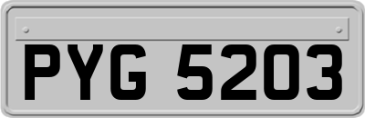 PYG5203