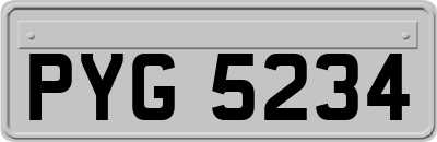 PYG5234