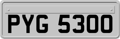 PYG5300