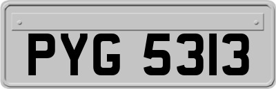 PYG5313