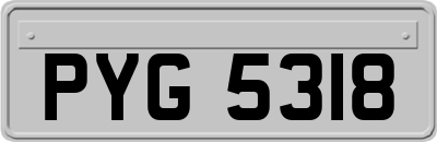 PYG5318