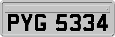 PYG5334