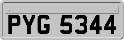 PYG5344