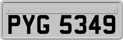 PYG5349