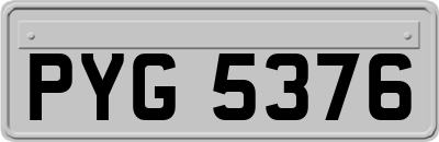 PYG5376