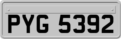 PYG5392