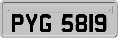 PYG5819