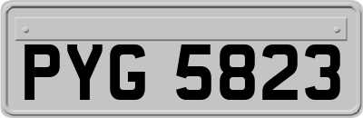 PYG5823