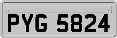 PYG5824