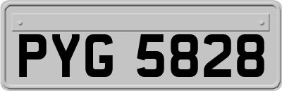 PYG5828