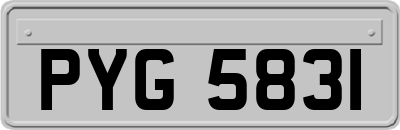 PYG5831