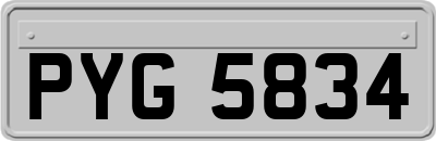 PYG5834