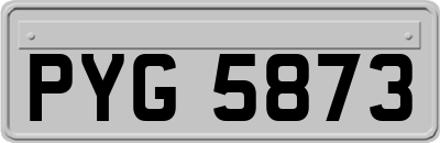 PYG5873