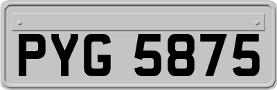 PYG5875