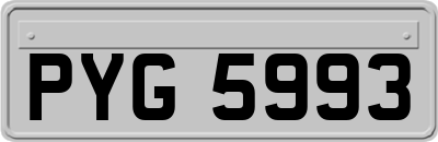 PYG5993