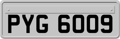 PYG6009