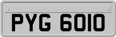 PYG6010