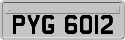 PYG6012