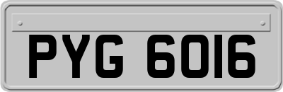 PYG6016