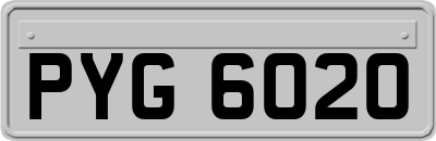 PYG6020