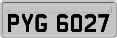 PYG6027