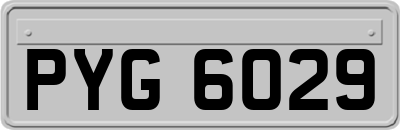 PYG6029