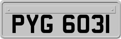 PYG6031