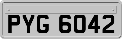 PYG6042