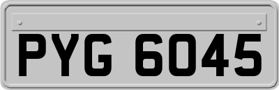 PYG6045