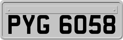 PYG6058