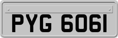 PYG6061