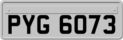 PYG6073