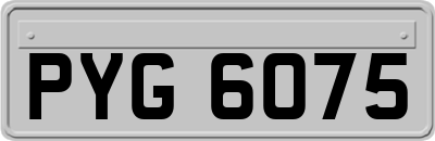 PYG6075