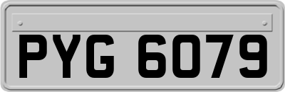 PYG6079