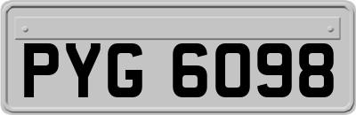 PYG6098