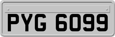 PYG6099