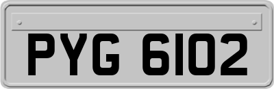 PYG6102