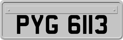 PYG6113