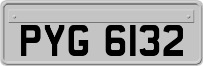 PYG6132