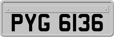 PYG6136