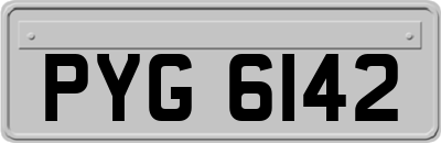 PYG6142